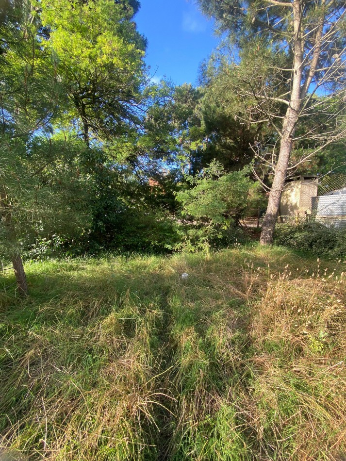 Lote en Valeria del Mar (525 M2).