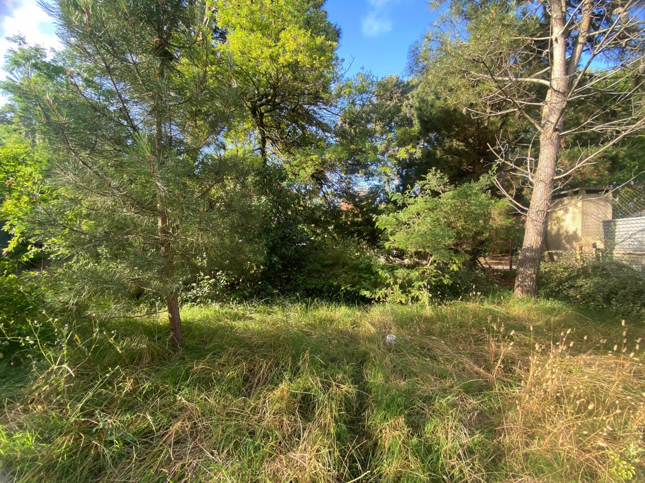 Lote en Valeria del Mar (525 M2).