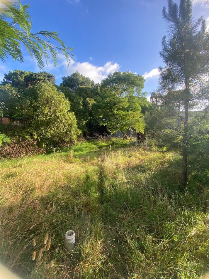 Lote en Valeria del Mar (525 M2).