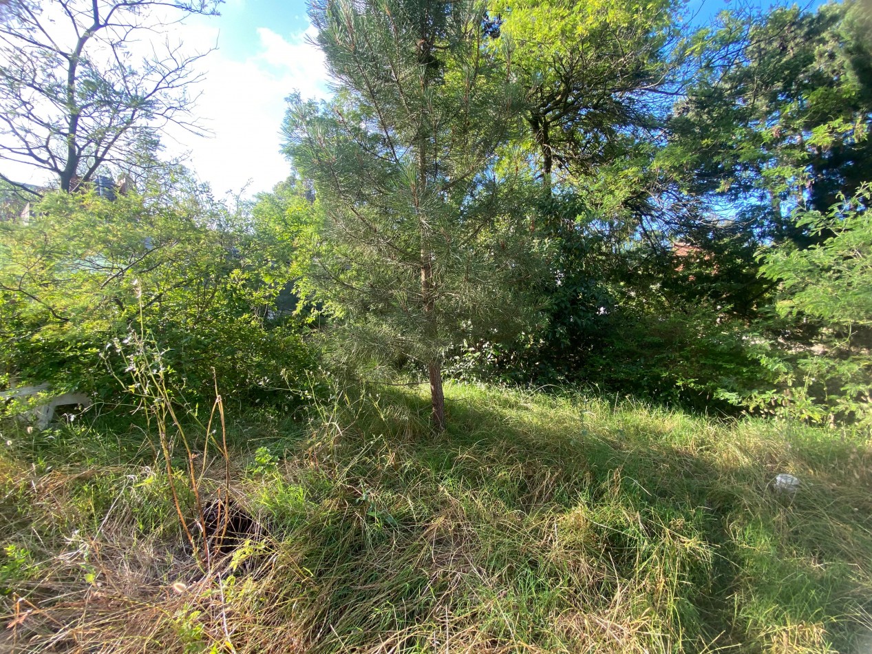 Lote en Valeria del Mar (525 M2).