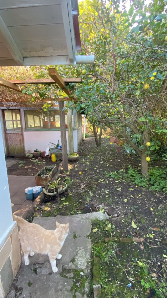 TERRENO MULTIFAMILIAR EN AVENIDA INTERMEDANOS, PINAMAR