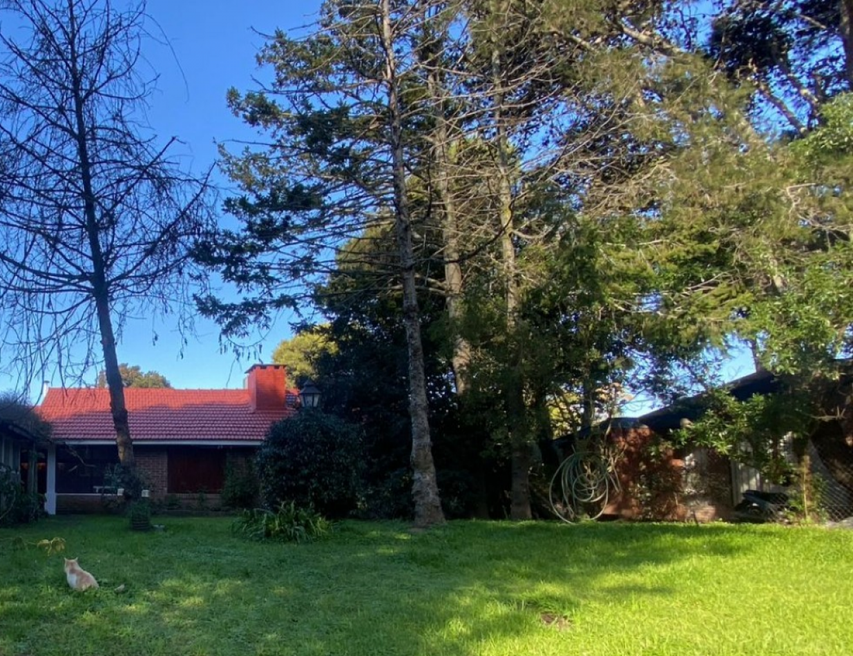 TERRENO MULTIFAMILIAR EN AVENIDA INTERMEDANOS, PINAMAR