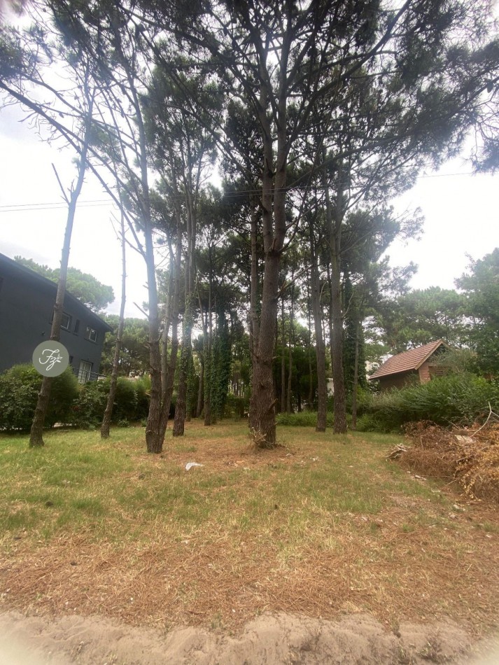 LOTE MULTIFAMILIAR CALLE RIVADAVIA EN PINAMAR