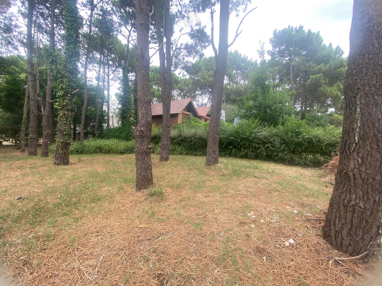 LOTE MULTIFAMILIAR CALLE RIVADAVIA EN PINAMAR
