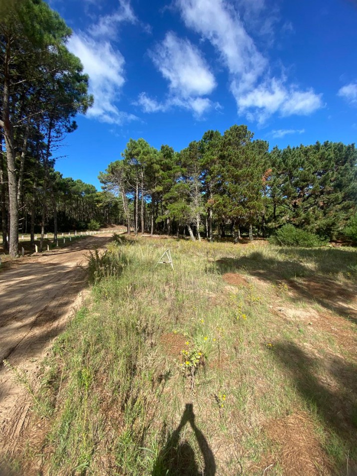 LOTE 43 -EN BARRIO BRISAS EN VILLA ROBLES -CERCANO AL MAR