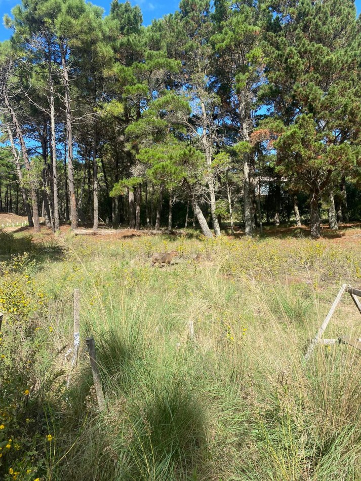 LOTE 43 -EN BARRIO BRISAS EN VILLA ROBLES -CERCANO AL MAR