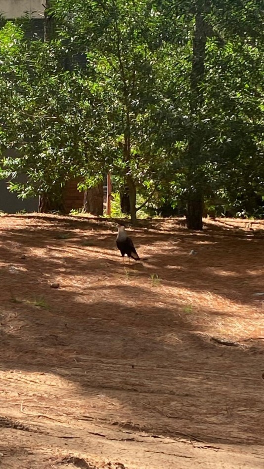 LOTE 43 -EN BARRIO BRISAS EN VILLA ROBLES -CERCANO AL MAR