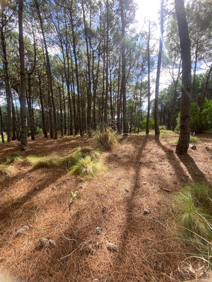 LOTE 43 -EN BARRIO BRISAS EN VILLA ROBLES -CERCANO AL MAR