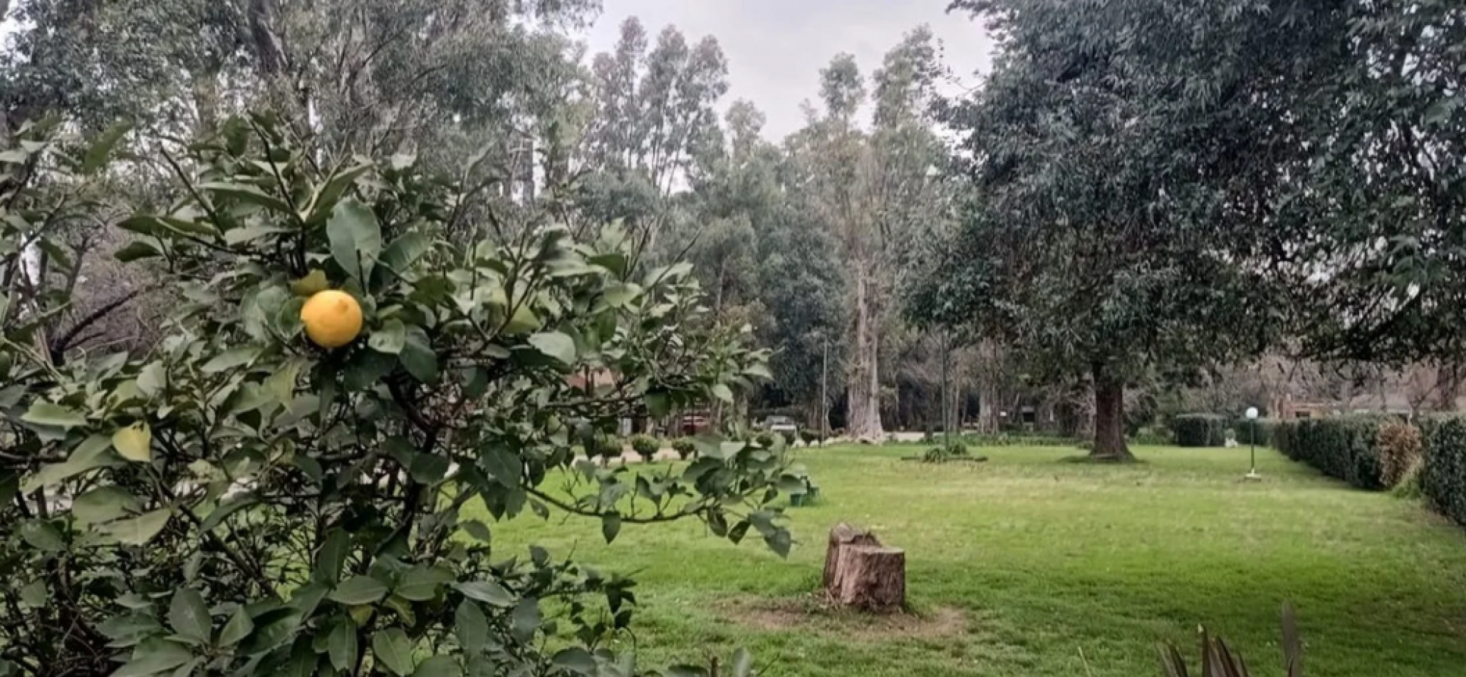 Tres cabañas en Delta Tigre en lote de 10.000 m2