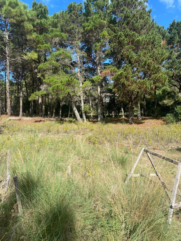 LOTE  544 EN BARRIO CERRADO VILLA ROBLES CON FONDO AL LAGO