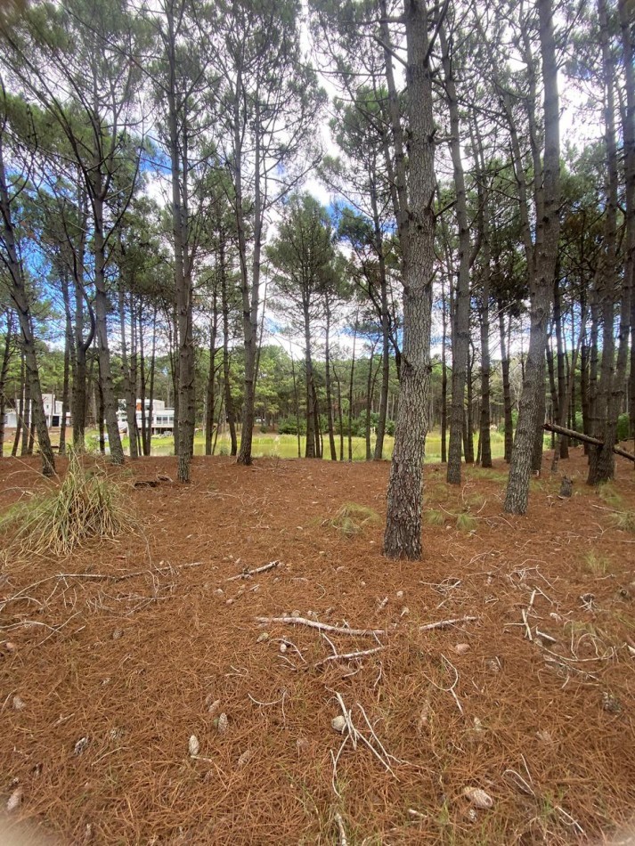 LOTE  544 EN BARRIO CERRADO VILLA ROBLES CON FONDO AL LAGO