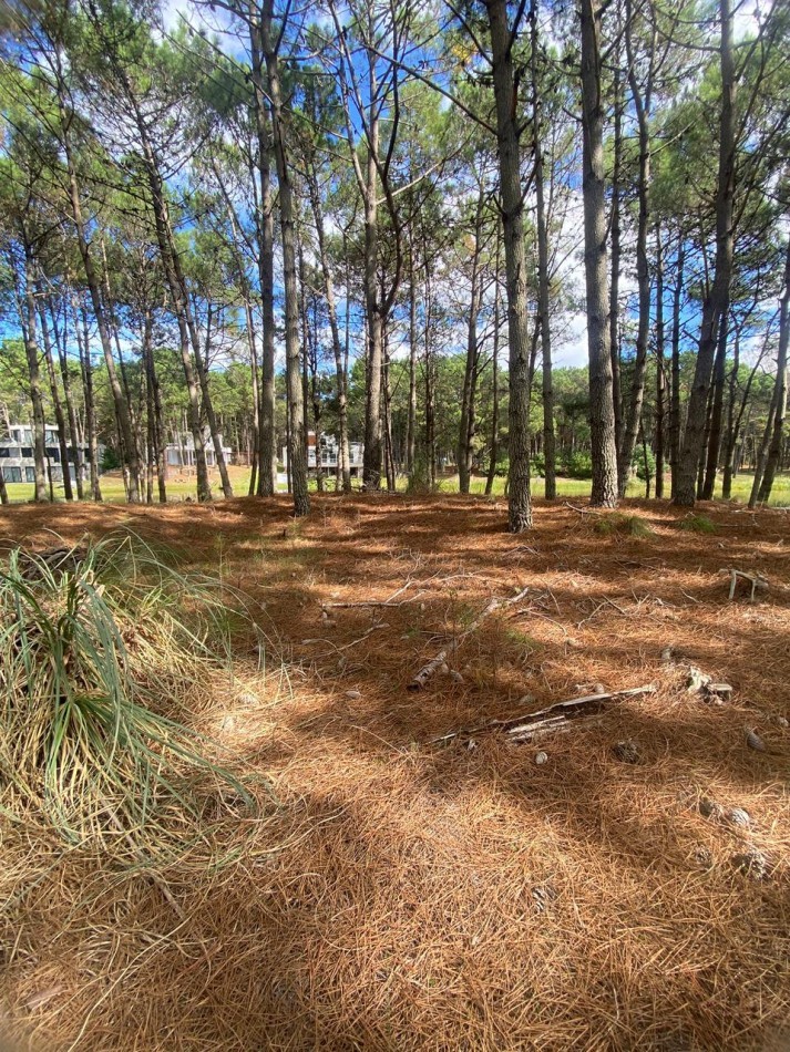 LOTE  544 EN BARRIO CERRADO VILLA ROBLES CON FONDO AL LAGO