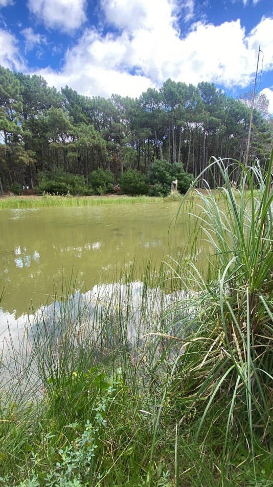 LOTE  544 EN BARRIO CERRADO VILLA ROBLES CON FONDO AL LAGO