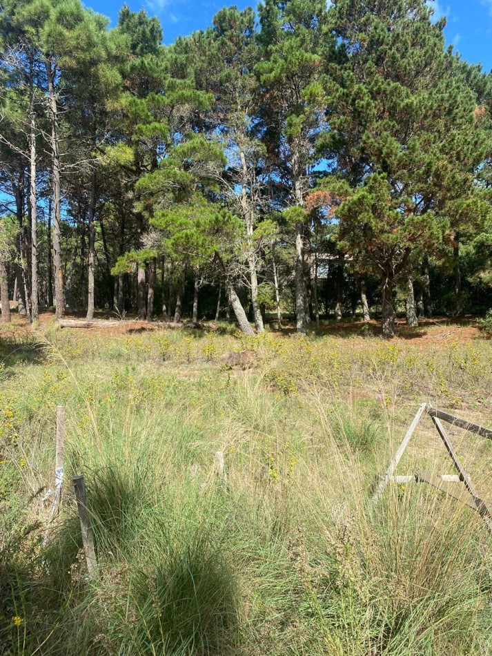 LOTE  544 EN BARRIO CERRADO VILLA ROBLES CON FONDO AL LAGO