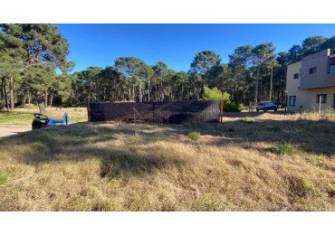 LOTE EN PINAMAR CALLE CANGREJO