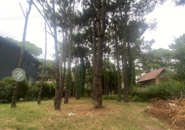 LOTE MULTIFAMILIAR CALLE RIVADAVIA EN PINAMAR