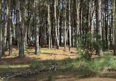 LOTE FINANCIADO EN COSTA ESMERALDA