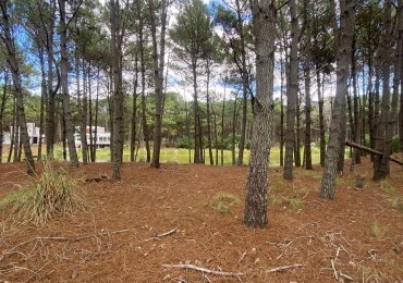 LOTE  544 EN BARRIO CERRADO VILLA ROBLES CON FONDO AL LAGO